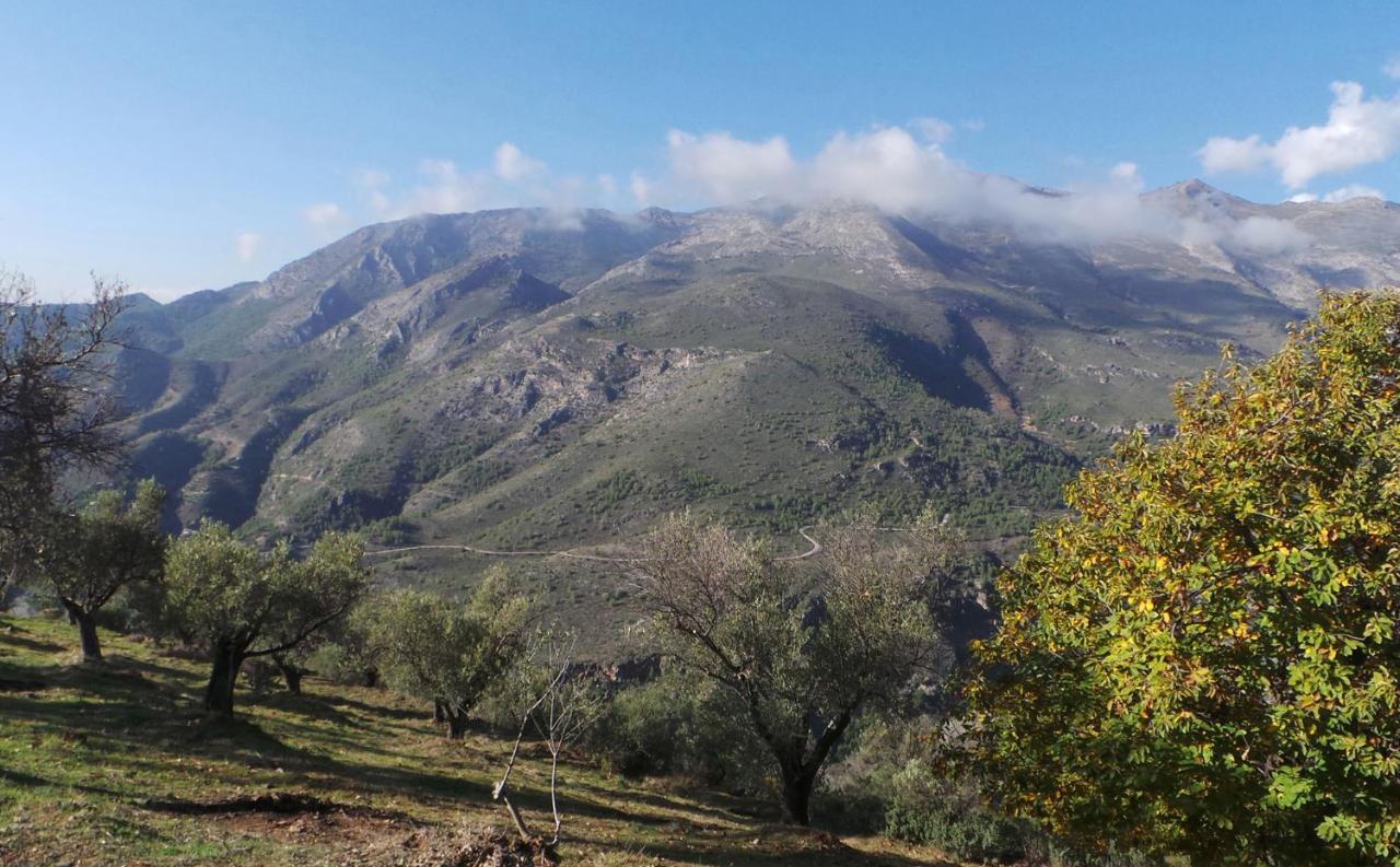 Вилла Cortijo Luque Нерха Экстерьер фото