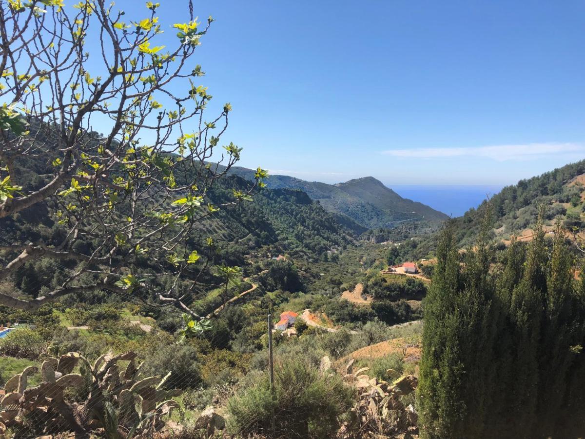 Вилла Cortijo Luque Нерха Экстерьер фото